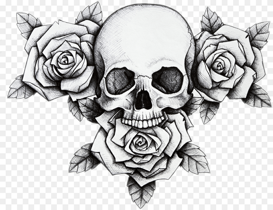 Skull Flower Rose Dead Skull And Rose Drawing, Art, Plant, Baby, Person Free Png Download