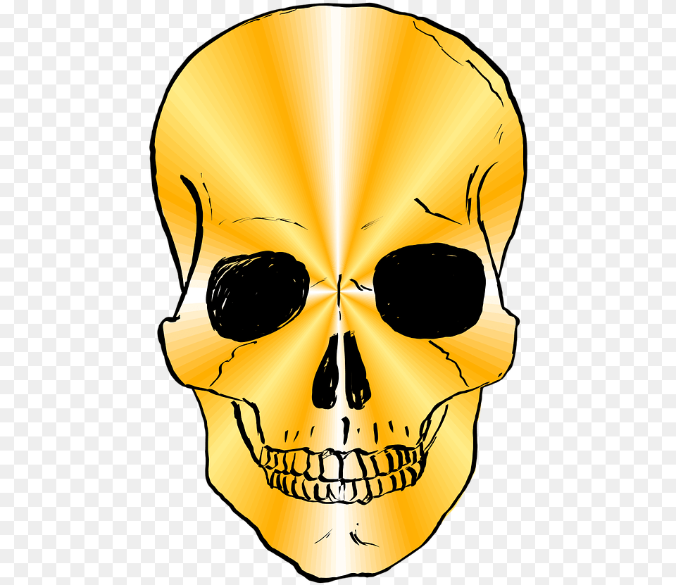 Skull Gold, Person, Face, Head Free Png
