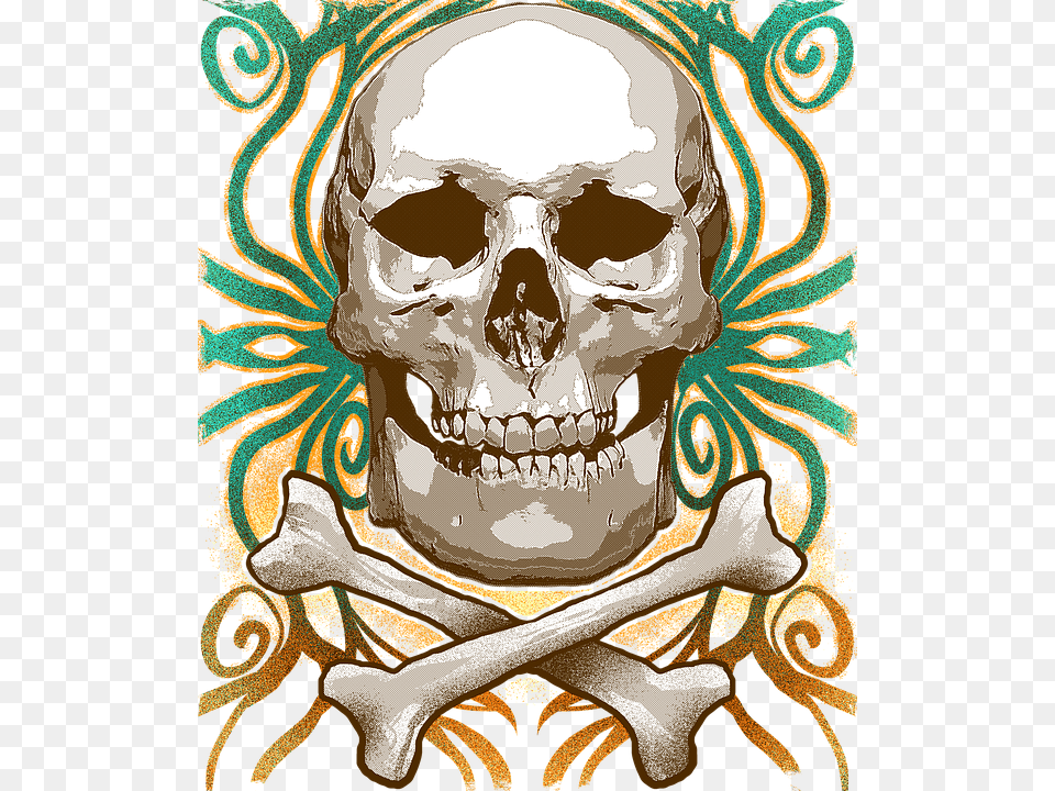 Skull Halloween Skeleton Bones Pirate Spooky Skull, Adult, Bride, Female, Person Free Png Download