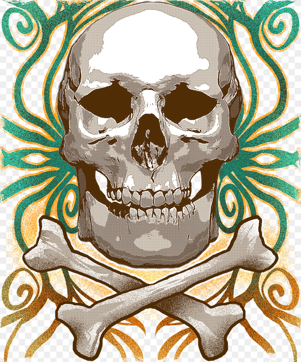 Skull Halloween Skeleton On Pixabay Creepy, Adult, Bride, Female, Person Free Png Download