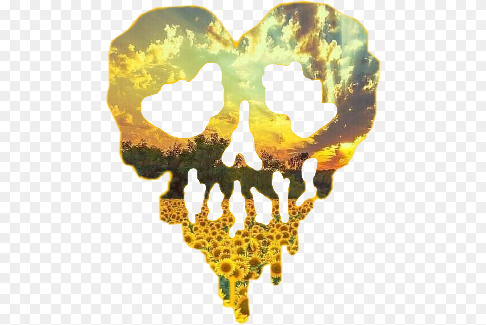 Skull Heart Skullheart Sunflower Sunset Sunflowerskull Heart, Accessories, Ornament, Gemstone, Jewelry Free Png Download