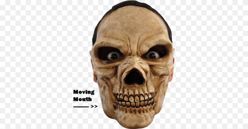 Skull Horror Face Mask Skull Mask Costume Accessories Masks Halloween Skeleton, Animal, Lion, Mammal, Wildlife Free Png