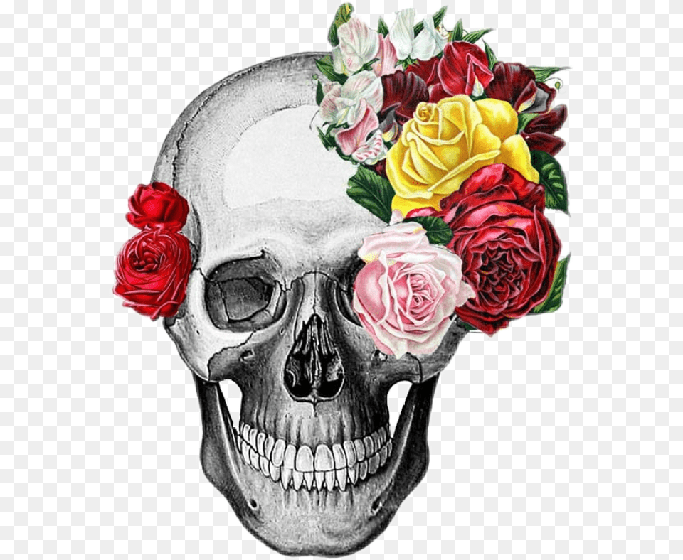Skull Humanface Humanhead Head Scaryvhorror Flowers Skull With Flowers, Rose, Flower, Flower Arrangement, Flower Bouquet Free Png