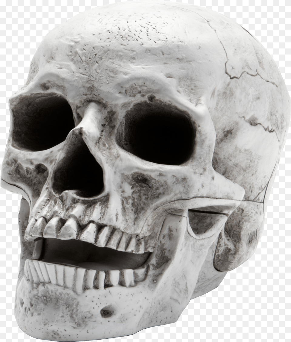 Skull Image, Person, Head, Face Free Png