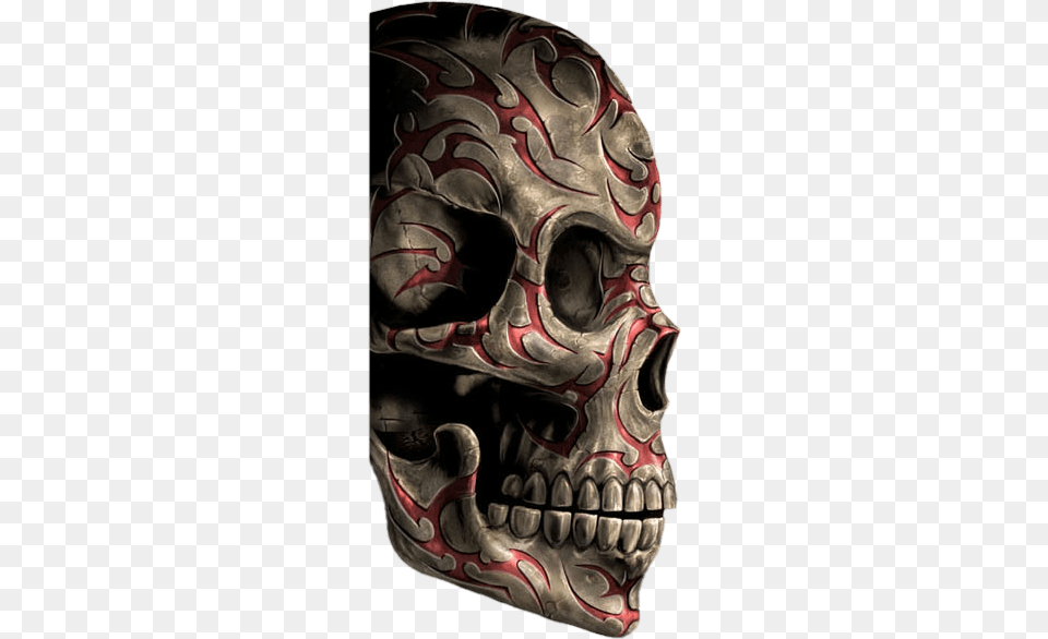 Skull Adult, Male, Man, Person Png Image