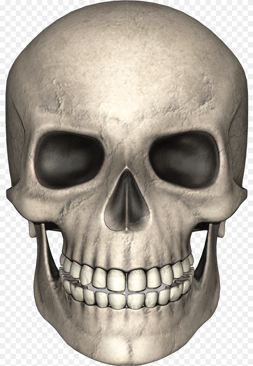 Skull Image Skull Clipart Transparent Background, Person, Head, Face, Body Part Free Png Download
