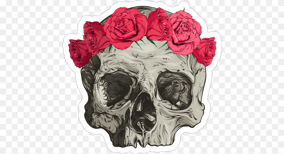 Skull In Flower Headband Sticker Garden Roses, Rose, Plant, Graphics, Art Free Png