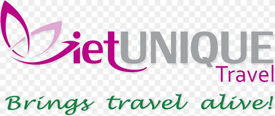 Skull Island Unique Travel, Logo, Text, Purple Free Png