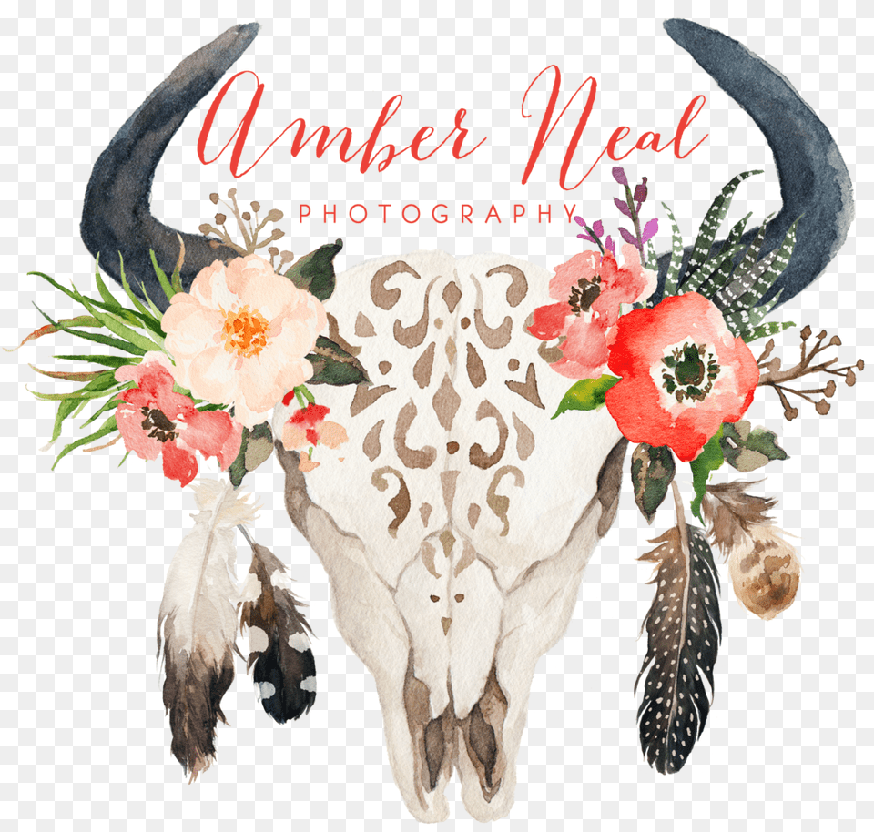 Skull Logo Cow Skull With Flowers And Feathers, Graphics, Art, Floral Design, Pattern Png