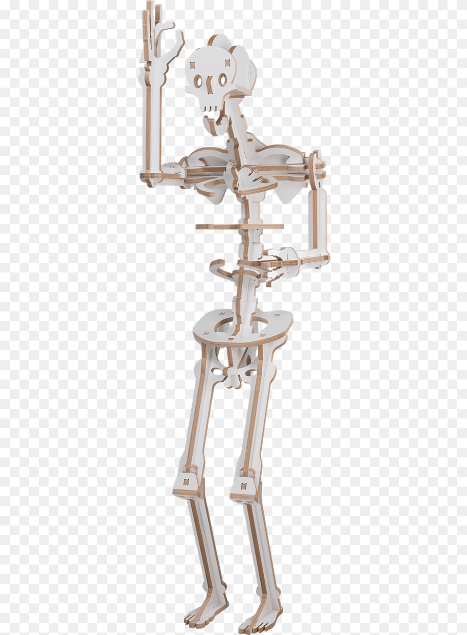 Skull Mannequin, Person, Skeleton, Robot Free Png