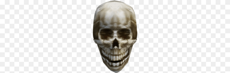 Skull Of Llevule Andrano The Elder Scrolls, Head, Person, Body Part, Mouth Free Transparent Png