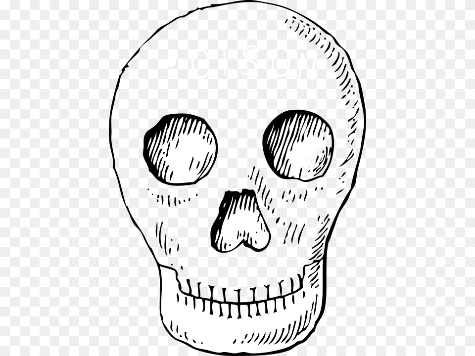 Skull Pirate Head Vector Graphic On Day Of The Dead Pictures Clip Art, Stencil, Animal, Fish, Sea Life Free Png Download