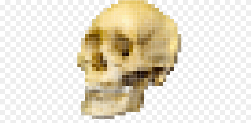Skull Pixel Australopithecus And Homo Sapiens, Person Png