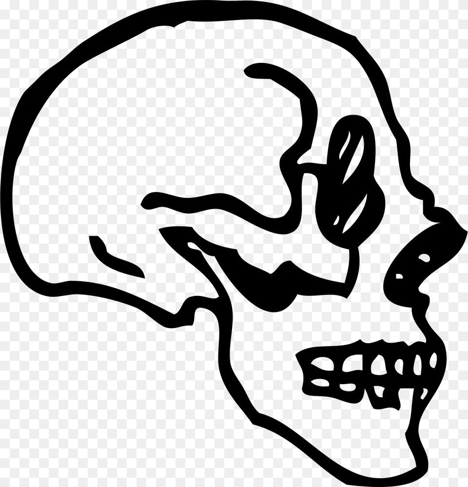 Skull Profile Clip Arts Skull Profile Art, Gray Free Png Download