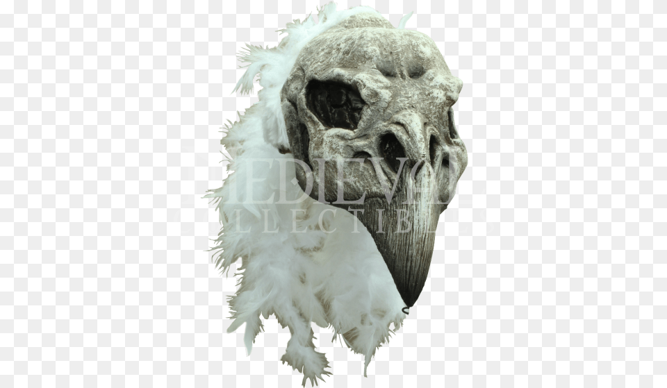 Skull Shading Vulture Skull, Animal, Beak, Bird, Accessories Free Png