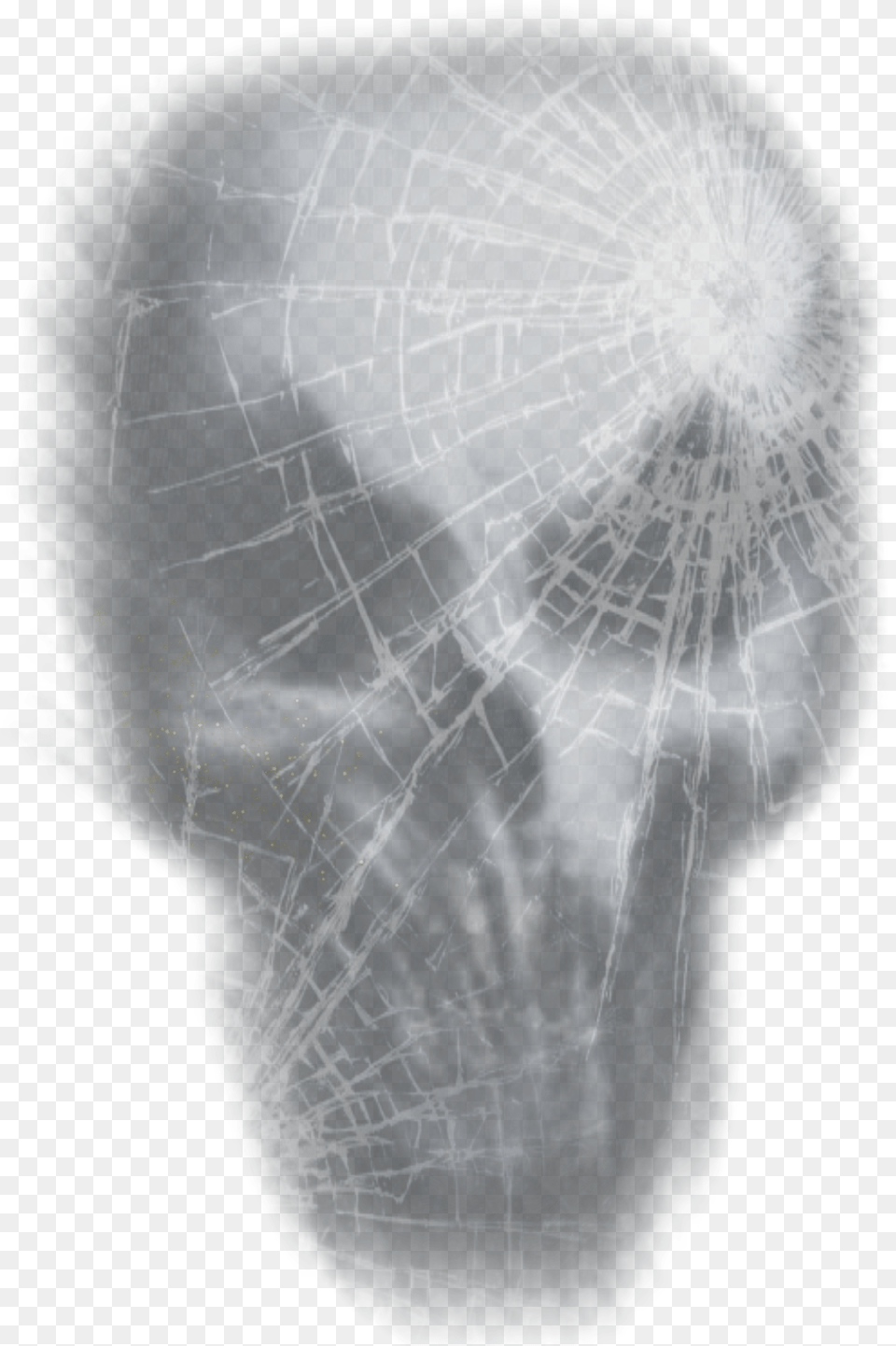 Skull Shattered Glass Ice, Adult, Male, Man, Person Free Transparent Png