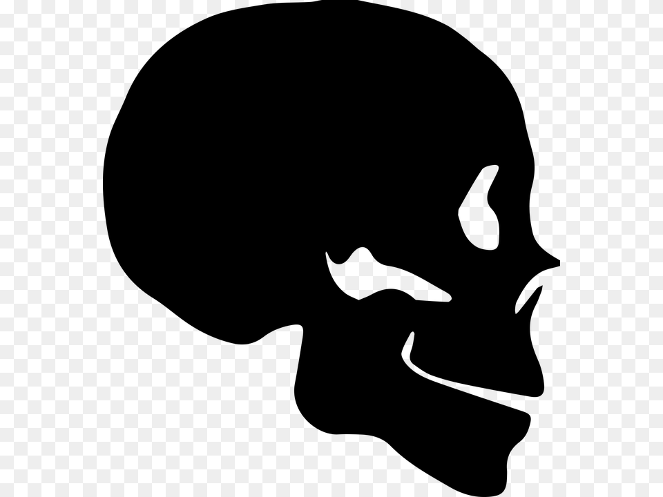 Skull Silhouette Side, Gray Png Image