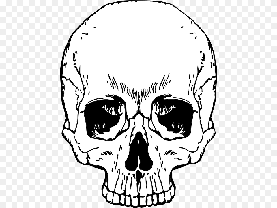 Skull Skeleton Halloween Skull And Crossbones, Person, Animal, Bird, Penguin Free Transparent Png