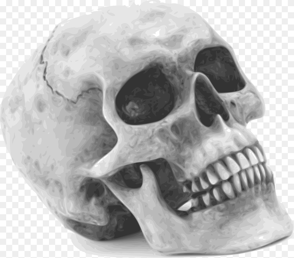 Skull Skeleton Human Remains Anatomy Human Remains Halloween Skull, Art, Head, Person, Clothing Free Png