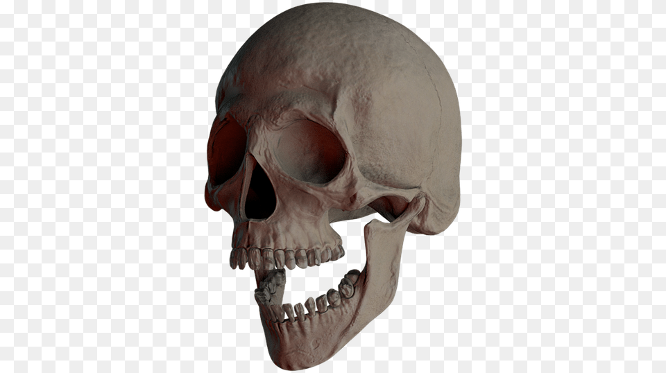 Skull Skull And Crossbones Bone Creepy Weird Death Bone, Person, Head, Face Free Png Download