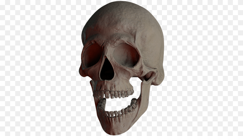 Skull Skull And Crossbones Bone Creepy Weird Death Skull, Head, Person, Face Free Png