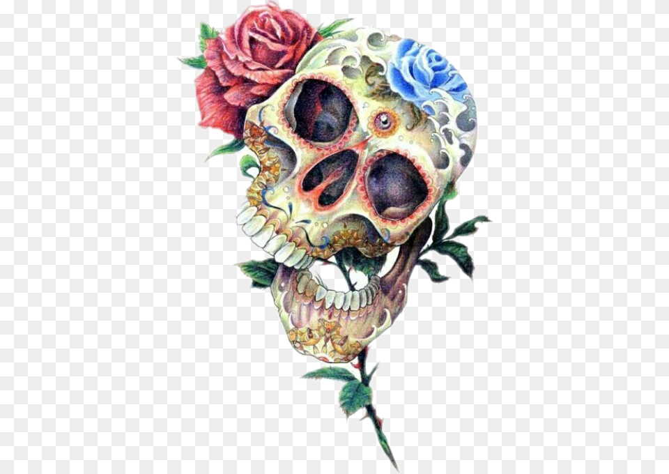 Skull Skulls Roses Skullsandroses Tattoo Tattooart Roses On Mexican Skull, Art, Graphics, Flower, Person Free Png