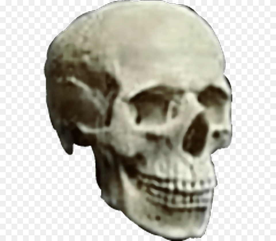 Skull Skulls Skeleton Head Heavymetal Heavy Metal Skull, Person, Face Free Transparent Png