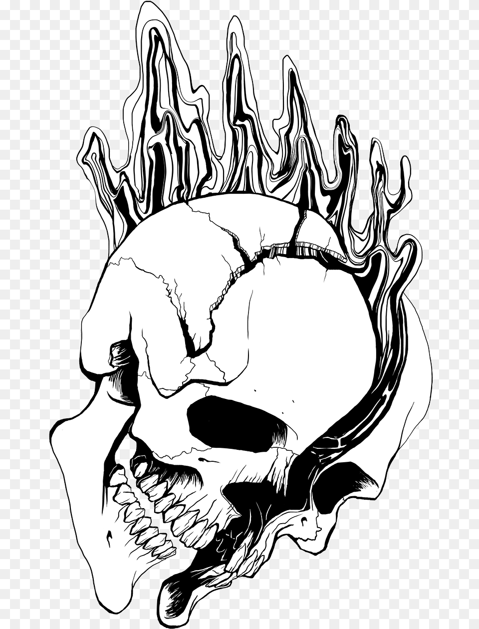 Skull Split Split Skull Art, Drawing, Baby, Person, Stencil Free Png Download