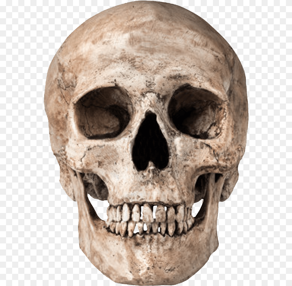 Skull Transparent, Person, Face, Head Free Png Download