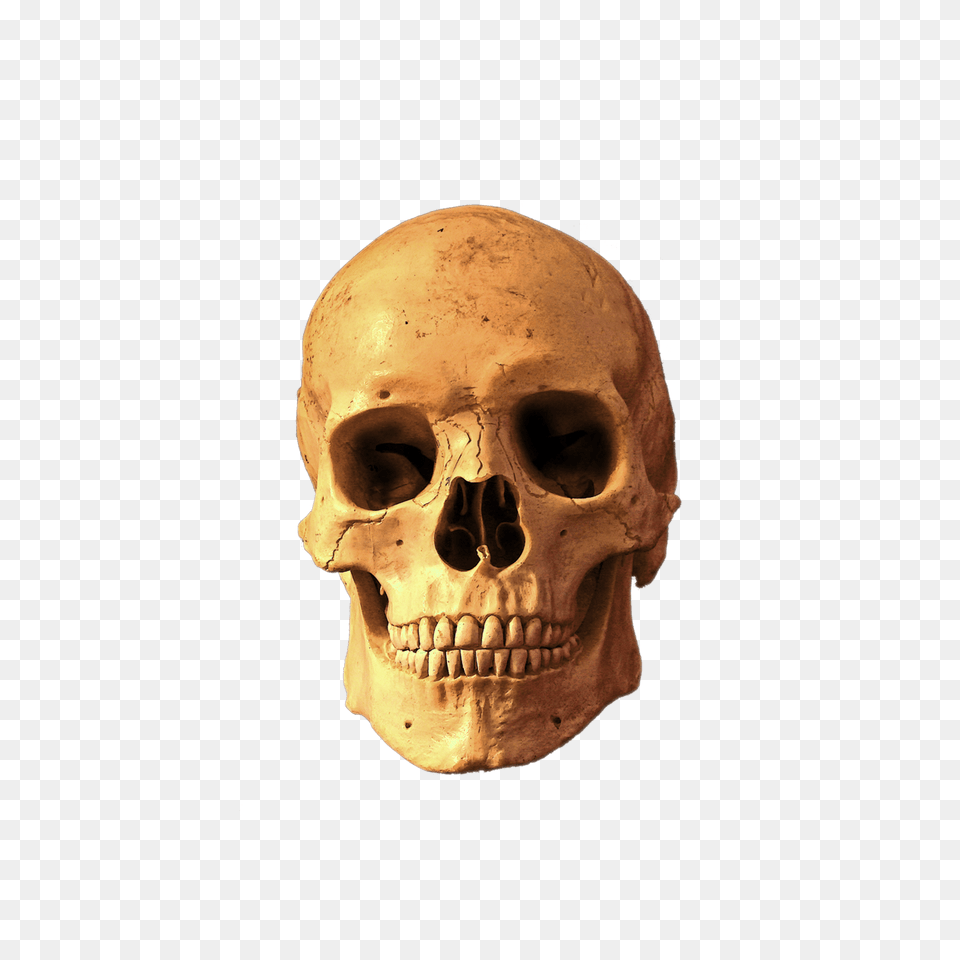 Skull Transparent Background Image Rhythm And Blues Png