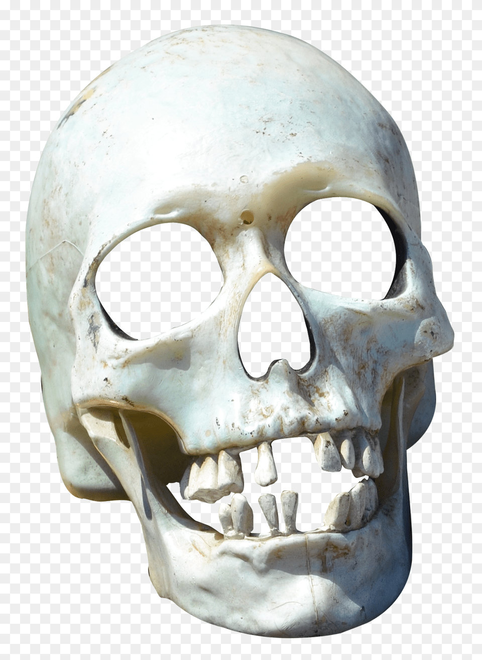 Skull Transparent Image, Head, Person, Face Free Png Download