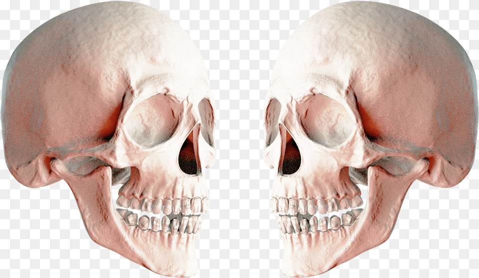 Skull Transparent Transparent Skull Two Guns, Head, Person, Face, Adult Png