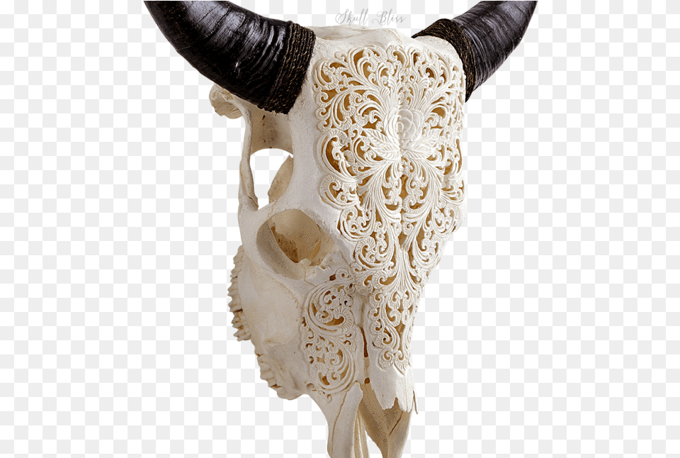 Skull Variant Skull Only Carved Cow Skull Xl Horns Glowing Mandala, Animal, Bull, Mammal, Adult Free Transparent Png