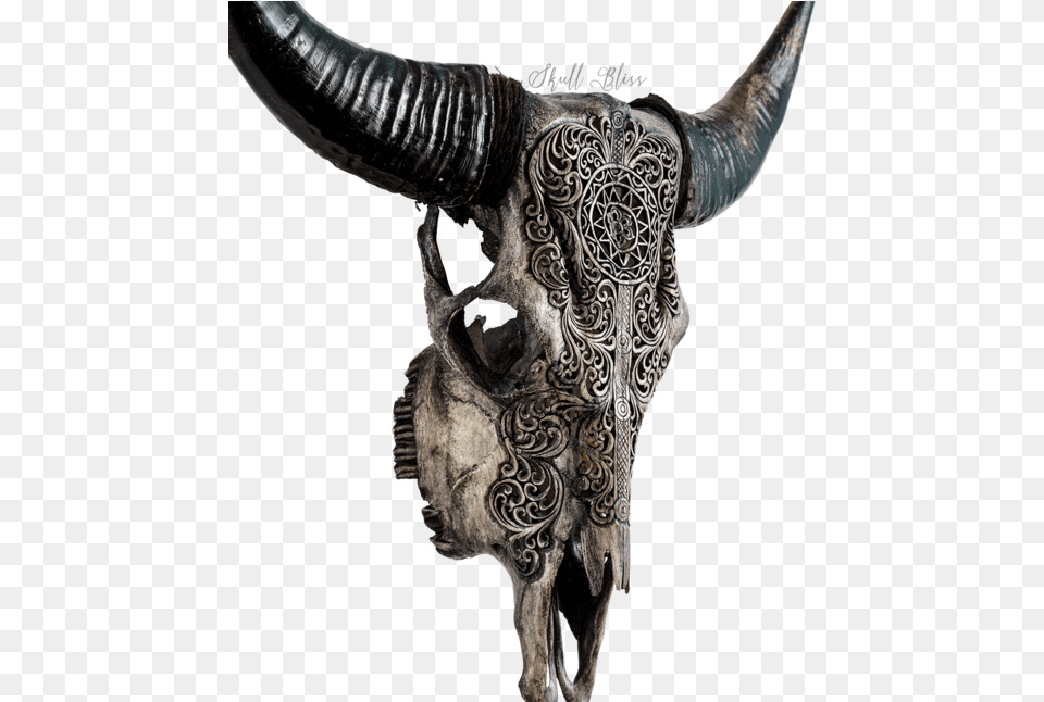 Skull Variant Skull Only Carved Longhorn Skull, Animal, Bull, Mammal, Livestock Png