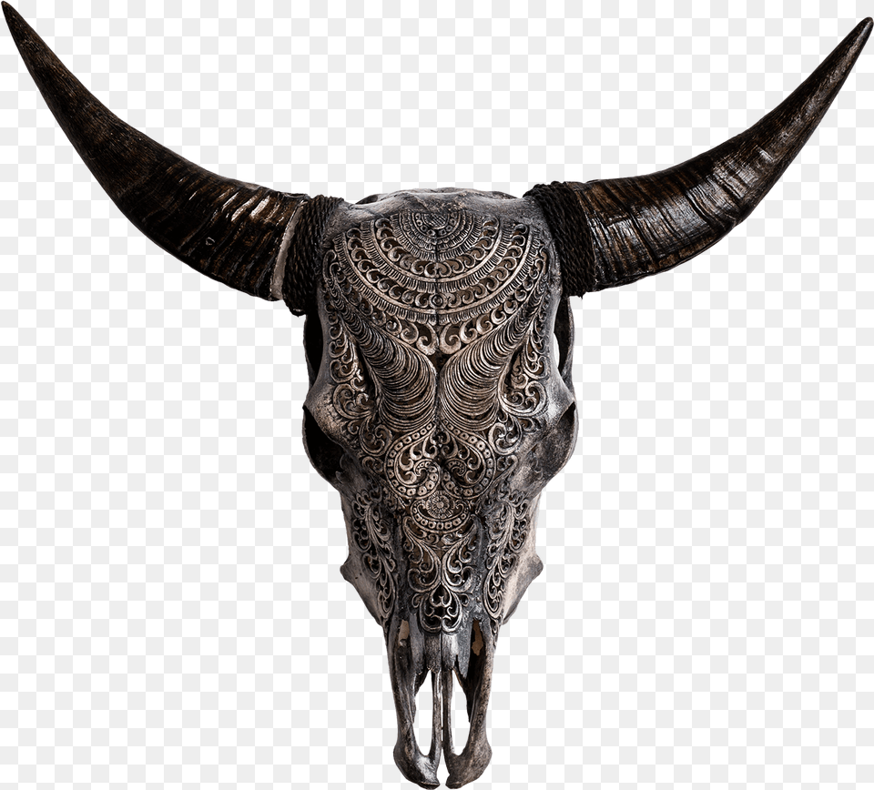 Skull Variant Skull Only Cow Skulls, Animal, Bull, Mammal, Cattle Free Png Download