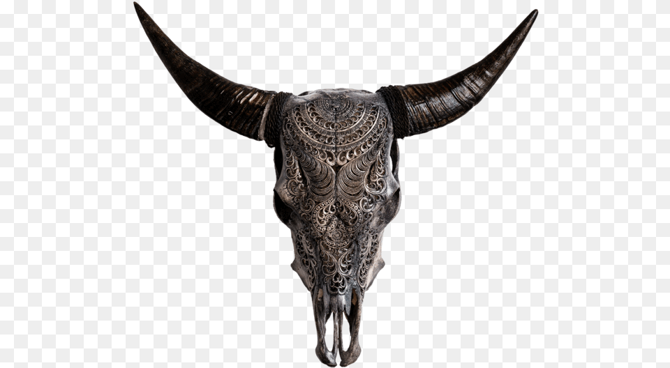 Skull Variant Skull Only Cow Skulls, Animal, Bull, Mammal, Cattle Free Transparent Png