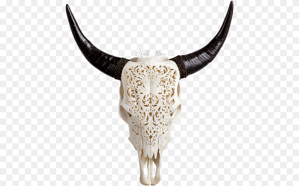 Skull Variant Skull Only Skull Bliss, Animal, Bull, Mammal, Cattle Free Png Download