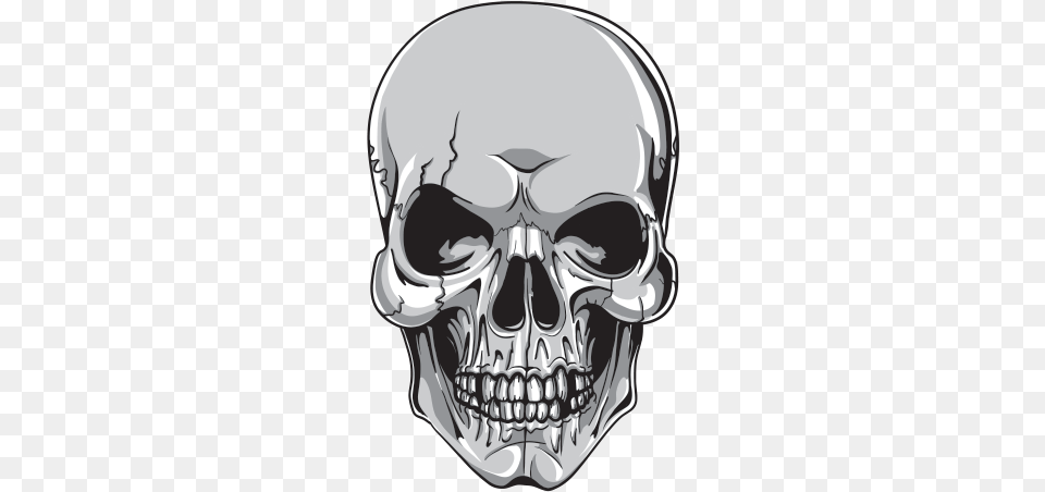 Skull Vector, Head, Person, Smoke Pipe, Face Png