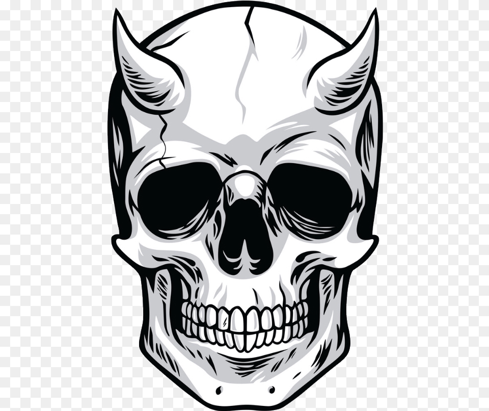 Skull Vector, Adult, Male, Man, Person Png Image