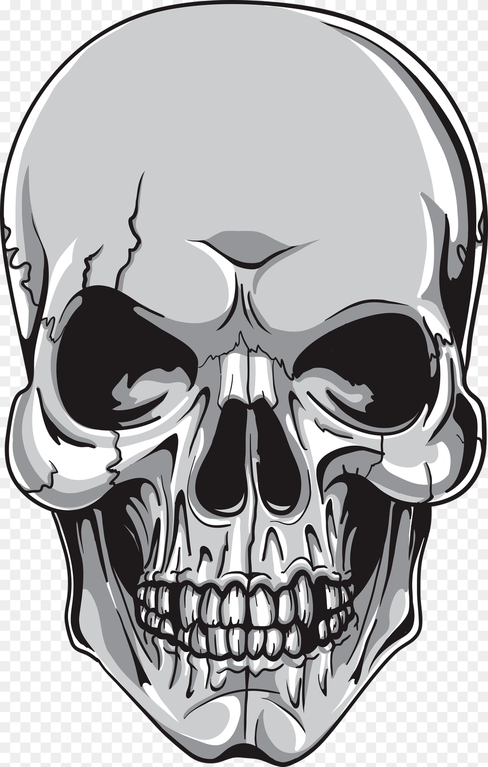 Skull Vector Element Gytsuj8 L, Head, Person, Face, Art Free Png