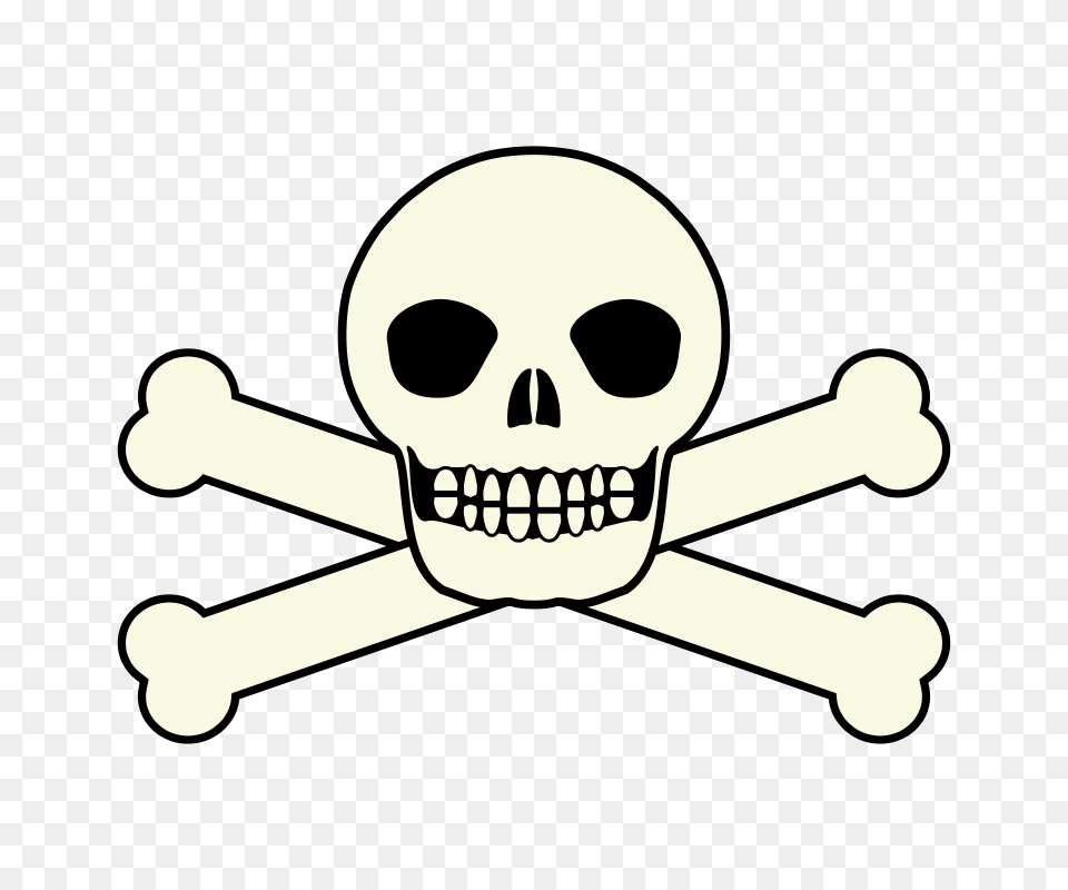 Skull Vector Free, Face, Head, Person, Pirate Png