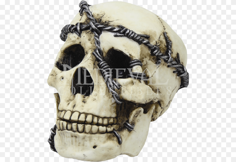 Skull With Barbed Wire Skulls And Barbed Wire, Person, Head, Face Free Png