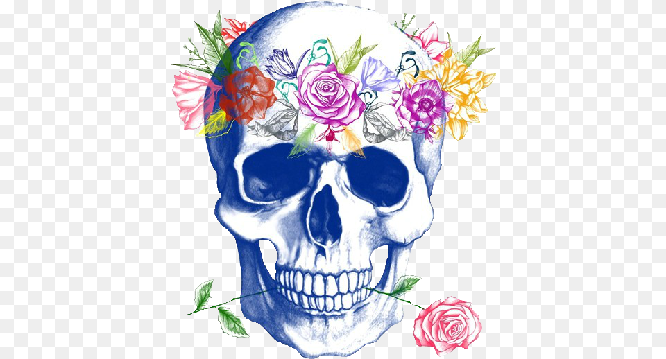 Skull With Flowers Skull And Flower Crown, Art, Graphics, Plant, Rose Free Png
