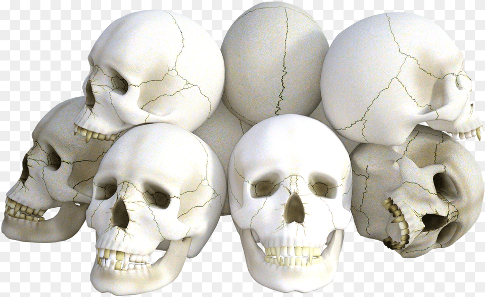 Skulls Horror Death Picture Bretton Woods Agreements, Egg, Food, Head, Person Free Png Download