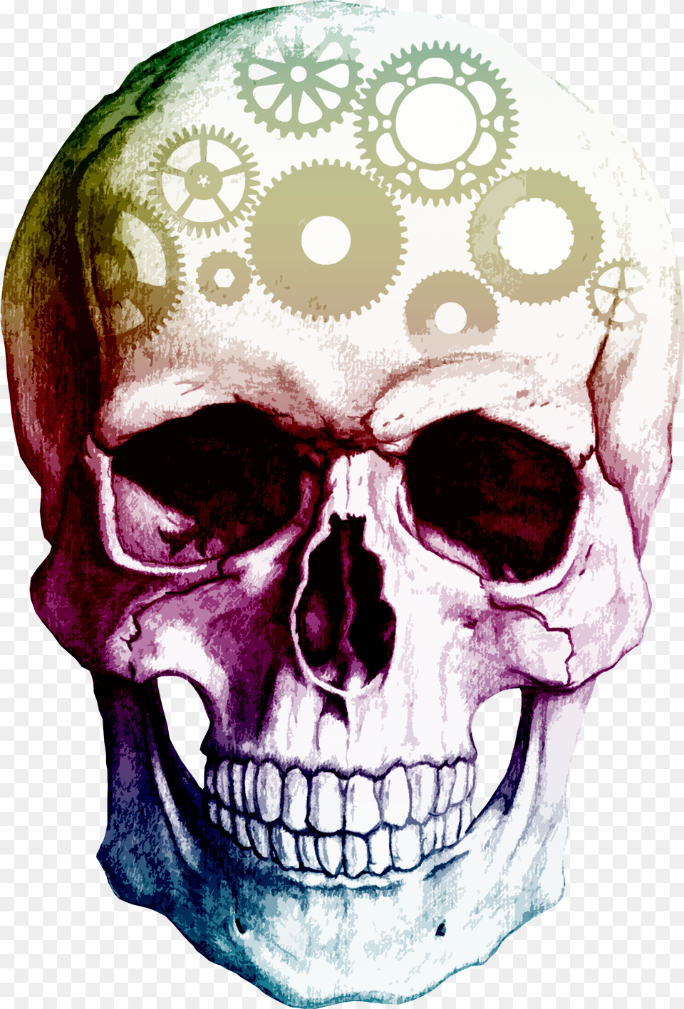Skulls No Background, Baby, Person, Head, Face Png
