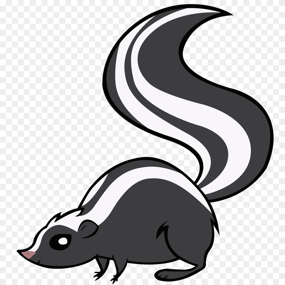 Skunk, Animal, Wildlife, Mammal, Grass Free Transparent Png