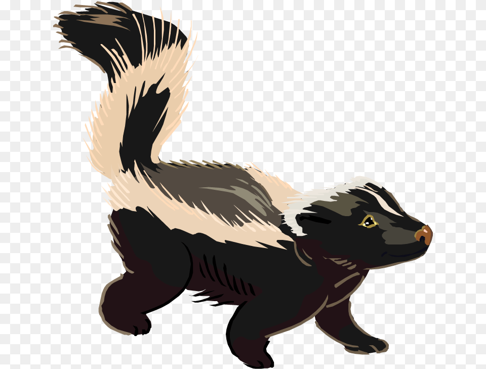 Skunk, Animal, Mammal, Wildlife, Fish Free Transparent Png