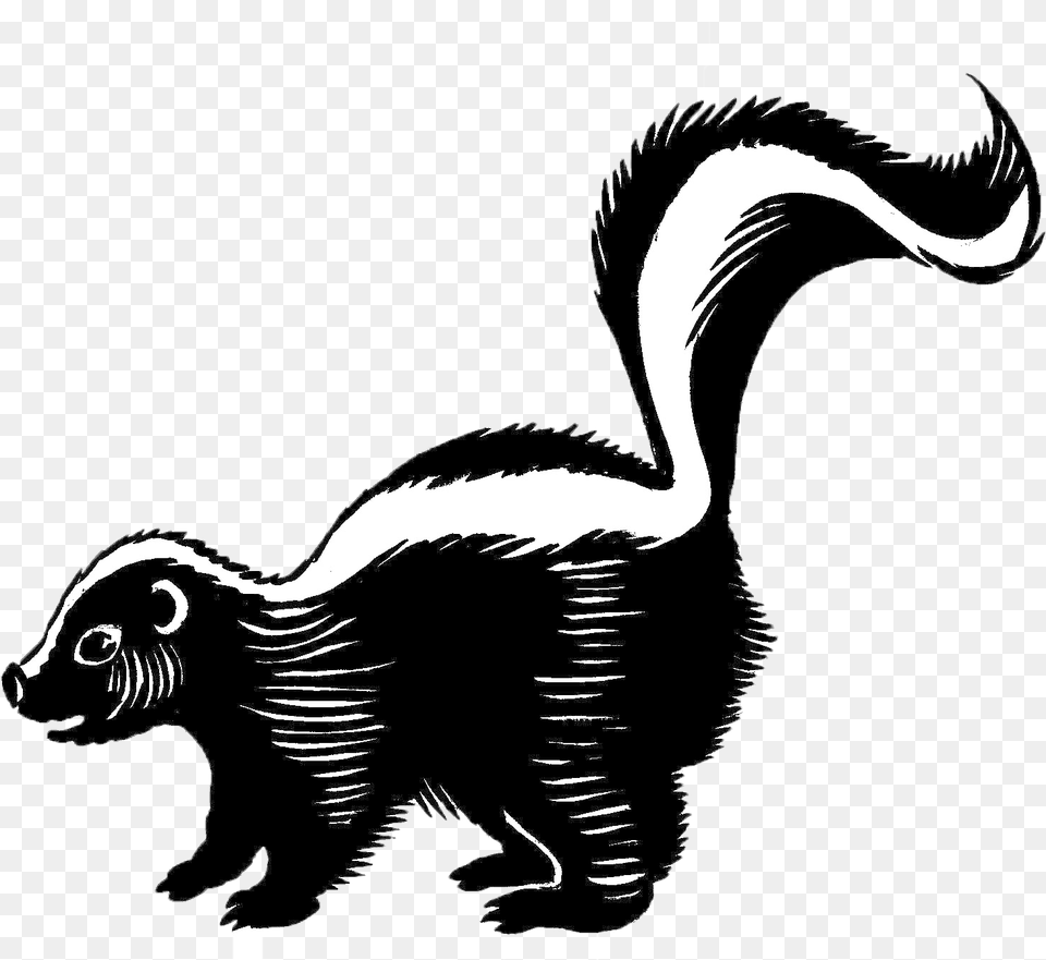 Skunk Background Skunk Black And White, Animal, Wildlife, Mammal, Bird Free Png