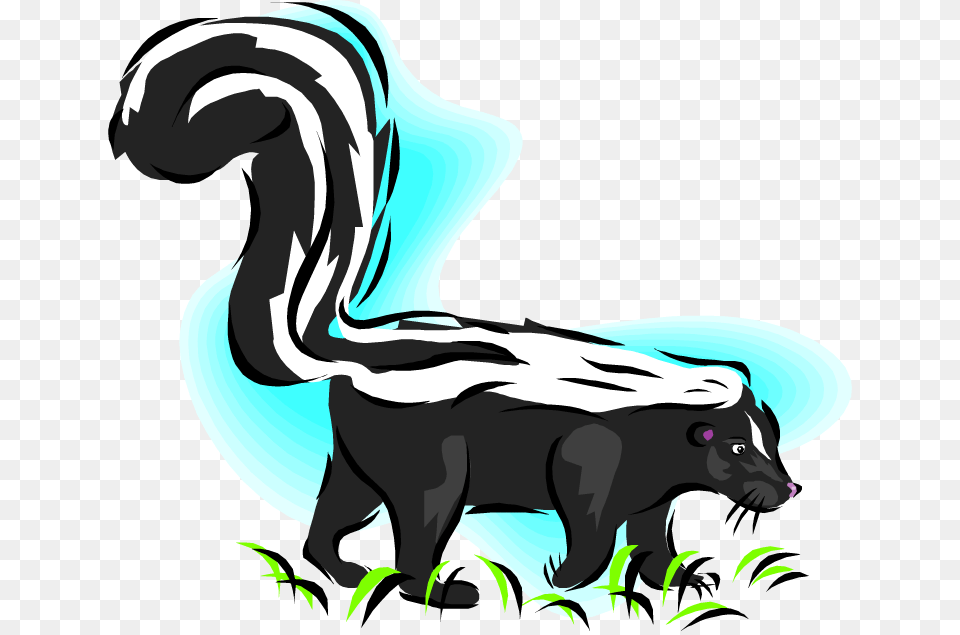 Skunk Clip Art, Animal, Wildlife, Mammal, Canine Png Image