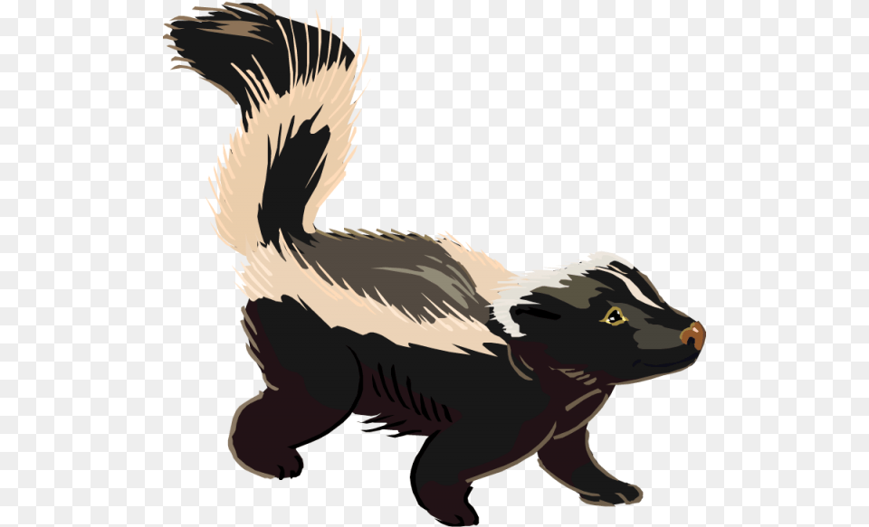 Skunk Clipart Nice Clip Art, Animal, Mammal, Wildlife, Dinosaur Png